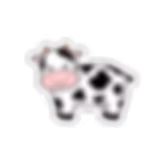 Untitled_Artwork 773.png